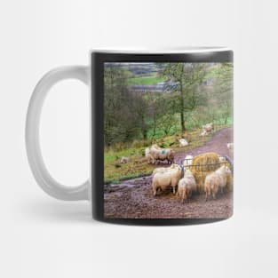 Sheep Feeding in the Brecon Beacons Mug